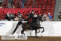 10buck_4962 proof