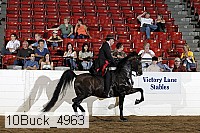 10buck_4963 proof