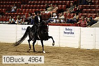 10buck_4964 proof