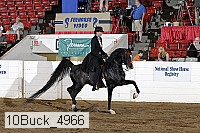 10buck_4966 proof