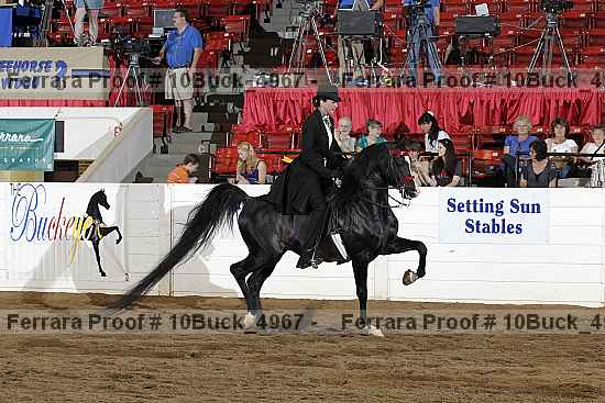 Proof 10buck_4967