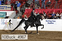 10buck_4967 proof