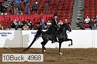 10buck_4968 proof
