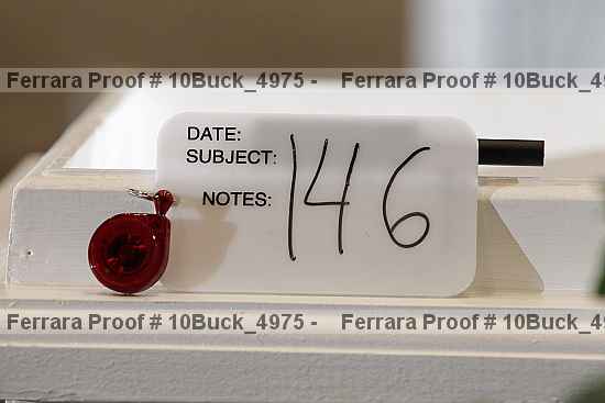 Proof 10buck_4975
