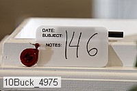 10buck_4975 proof