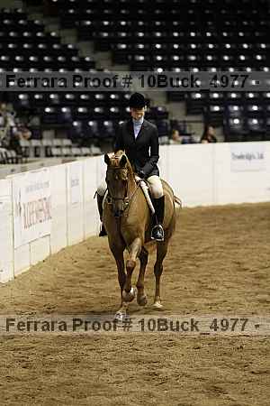 Proof 10buck_4977