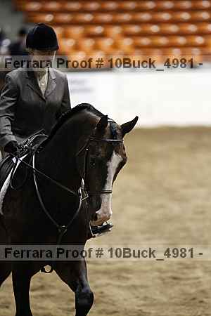 Proof 10buck_4981