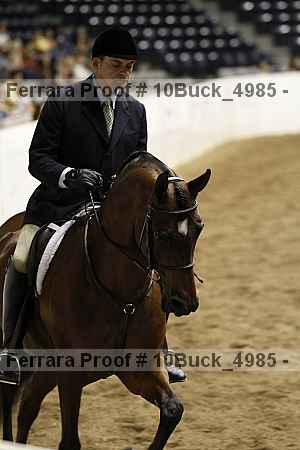 Proof 10buck_4985
