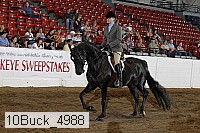 10buck_4988 proof