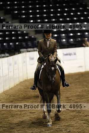 Proof 10buck_4995