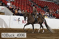 10buck_4996 proof