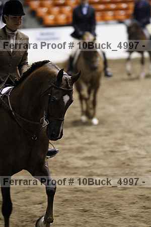Proof 10buck_4997