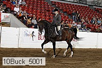 10buck_5001 proof