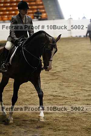Proof 10buck_5002