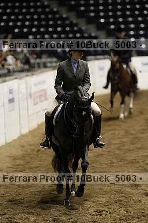 Proof 10buck_5003