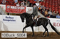10buck_5004 proof
