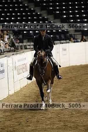 Proof 10buck_5005