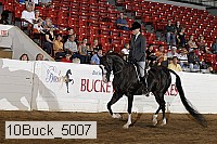 10buck_5007 proof