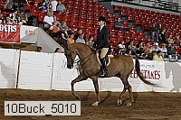10buck_5010 proof