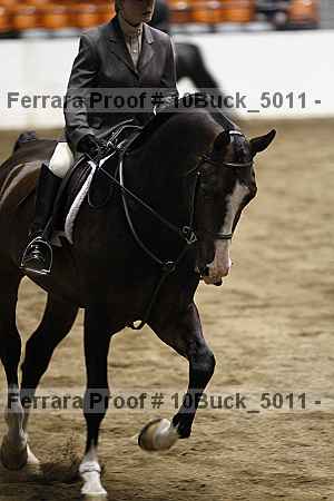 Proof 10buck_5011