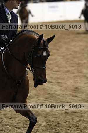 Proof 10buck_5013