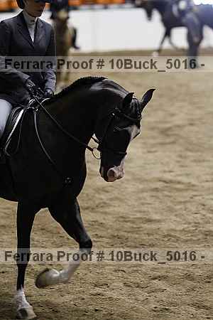 Proof 10buck_5016