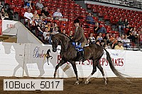 10buck_5017 proof