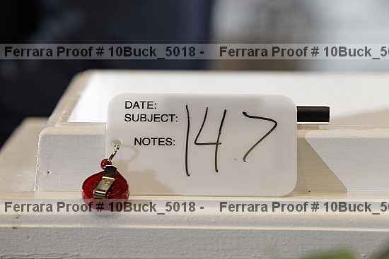 Proof 10buck_5018