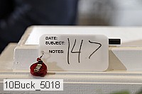10buck_5018 proof