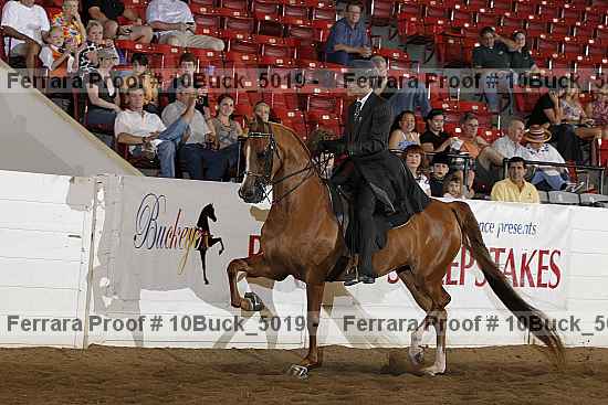Proof 10buck_5019