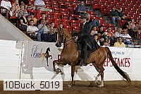 10buck_5019 proof