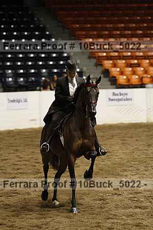 Proof 10buck_5022