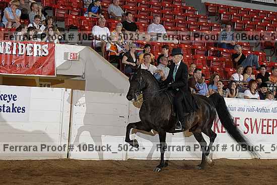 Proof 10buck_5023