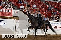 10buck_5023 proof