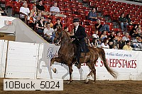 10buck_5024 proof