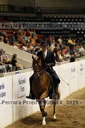 Proof 10buck_5025