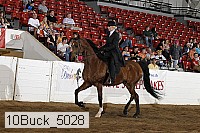 10buck_5028 proof