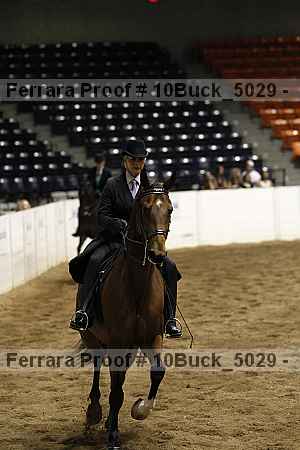 Proof 10buck_5029