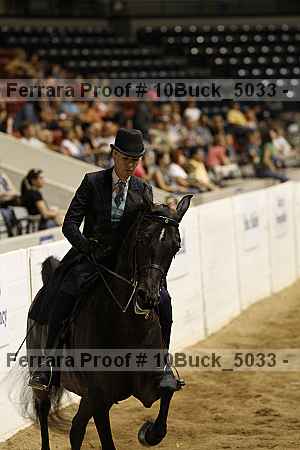 Proof 10buck_5033