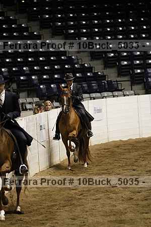Proof 10buck_5035