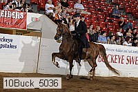 10buck_5036 proof