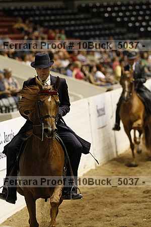 Proof 10buck_5037