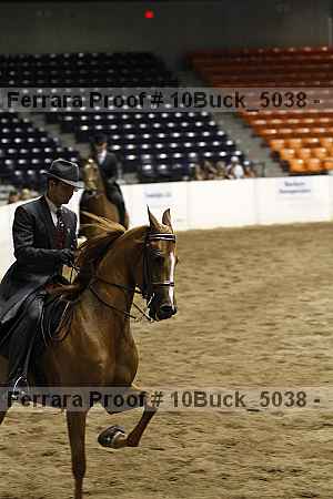 Proof 10buck_5038