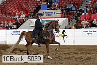 10buck_5039 proof