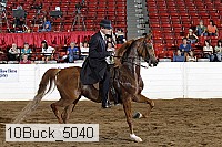 10buck_5040 proof