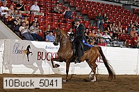 10buck_5041 proof