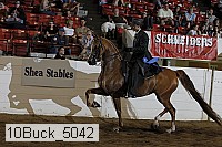 10buck_5042 proof