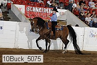 10buck_5075 proof
