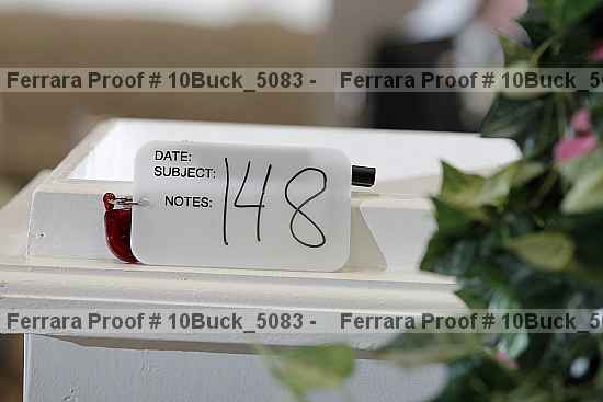 Proof 10buck_5083