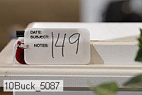 10buck_5087 proof